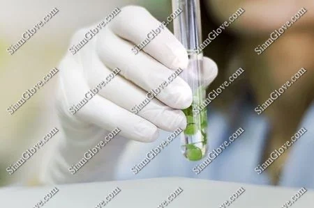 High-quality latex gloves for medical and industrial use, ergonomic and durable.