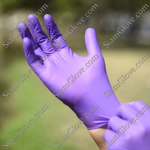 Purple disposable medical glove, hand wearing glove outdoors for safe hygiene practices.